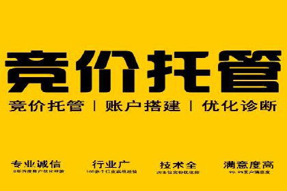 百度推广效果案例解析